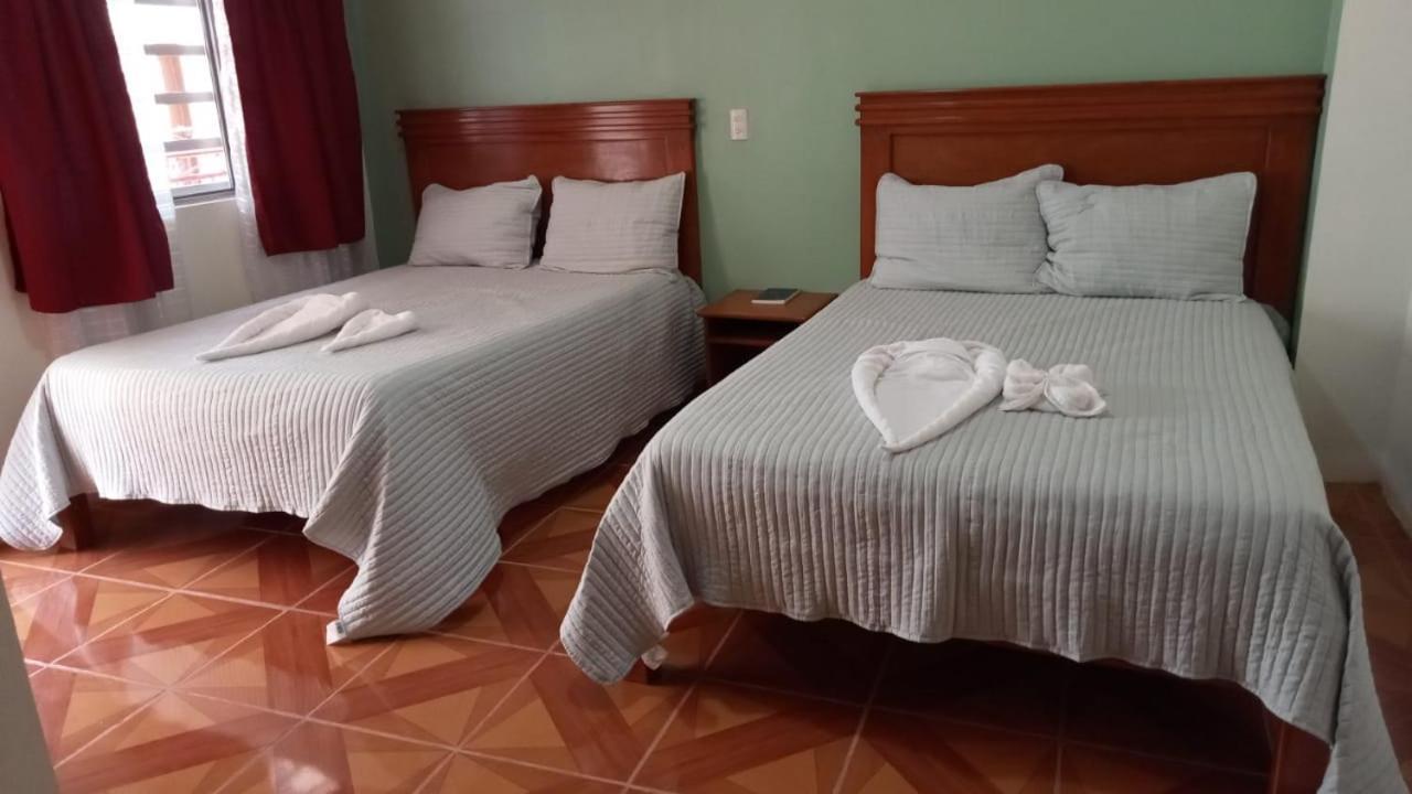 Hotel John & Rose 科米坦德多明格斯 外观 照片