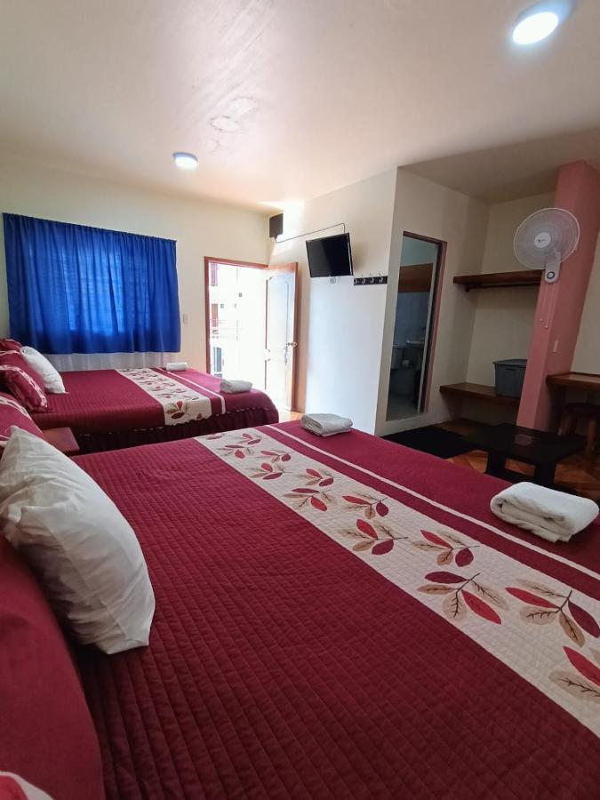 Hotel John & Rose 科米坦德多明格斯 外观 照片
